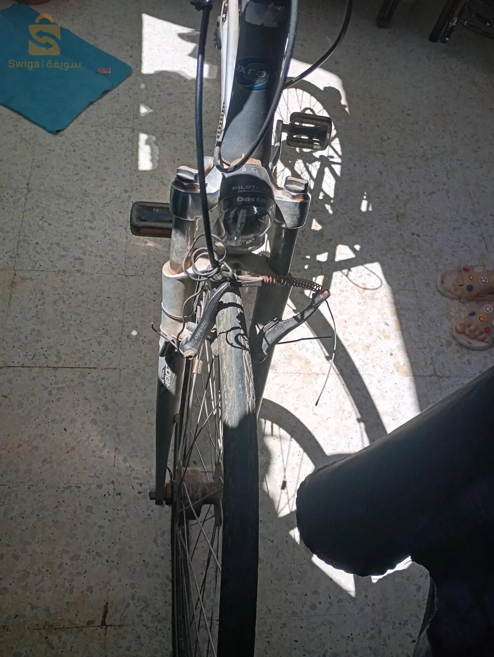 تنس ولاية شلف