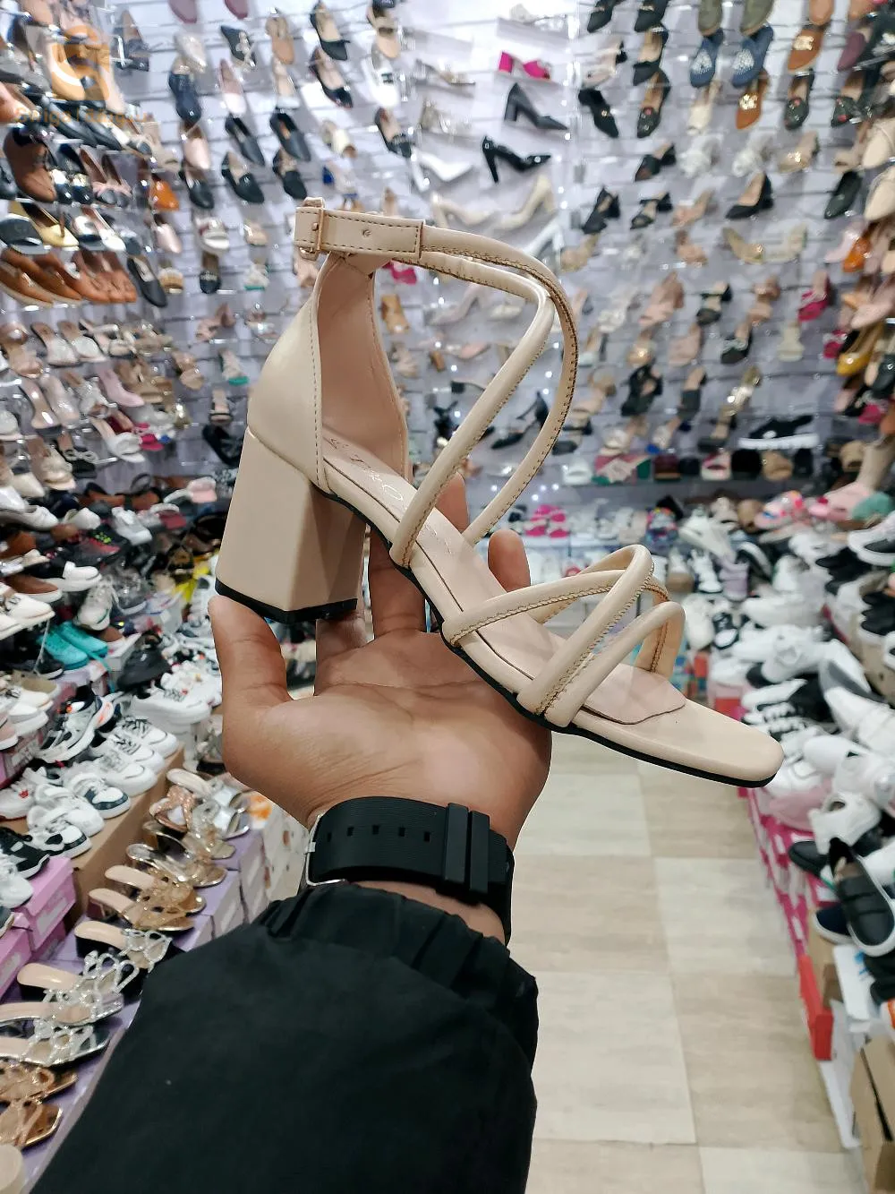 شلغوم العيد-التوصيل متوفر 58 ولاية