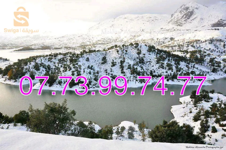 دائرة يوب حي 80 مسكن