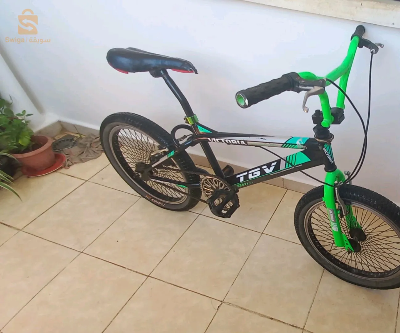 velo