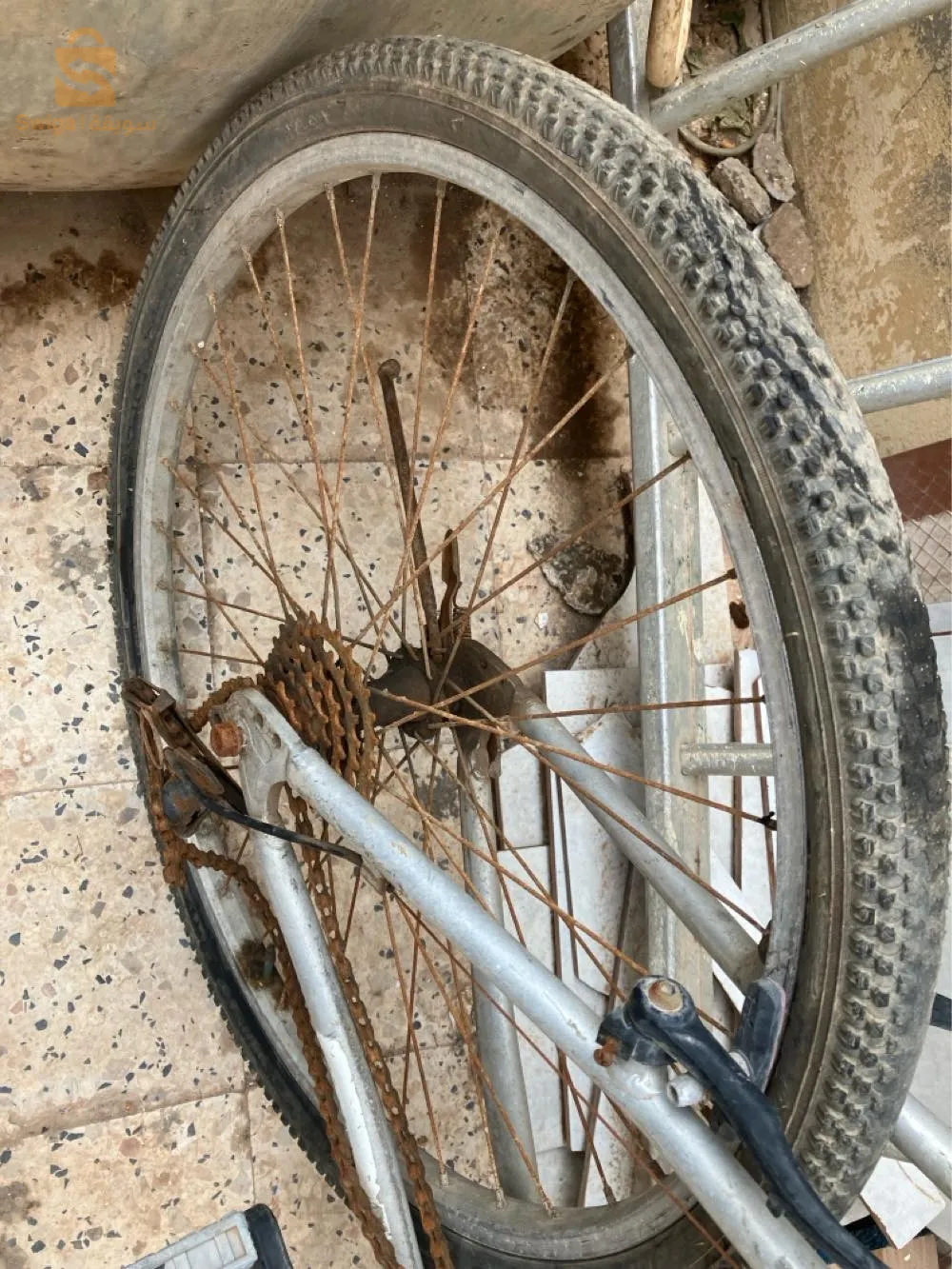 فيلوا
