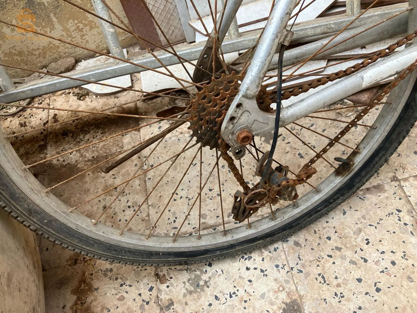 فيلوا