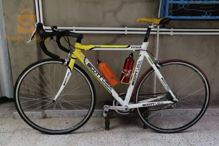 فيلو مليحة شابة لي سالم مليح بصحتك