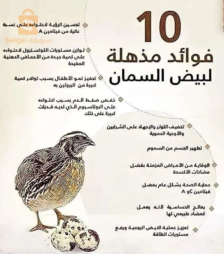 اولاد سي سليمان