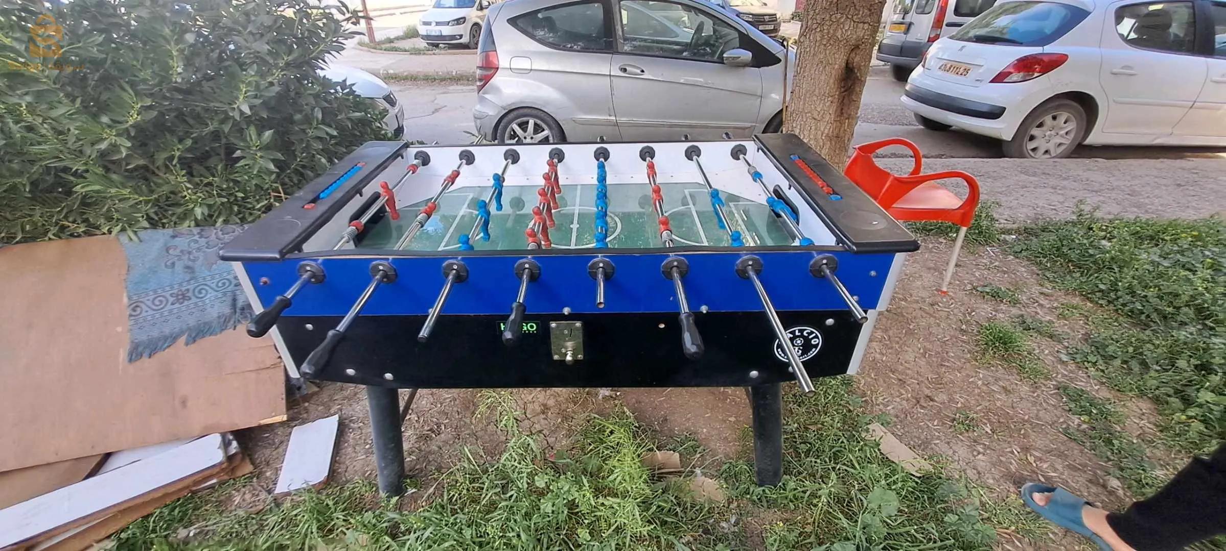 الخروب