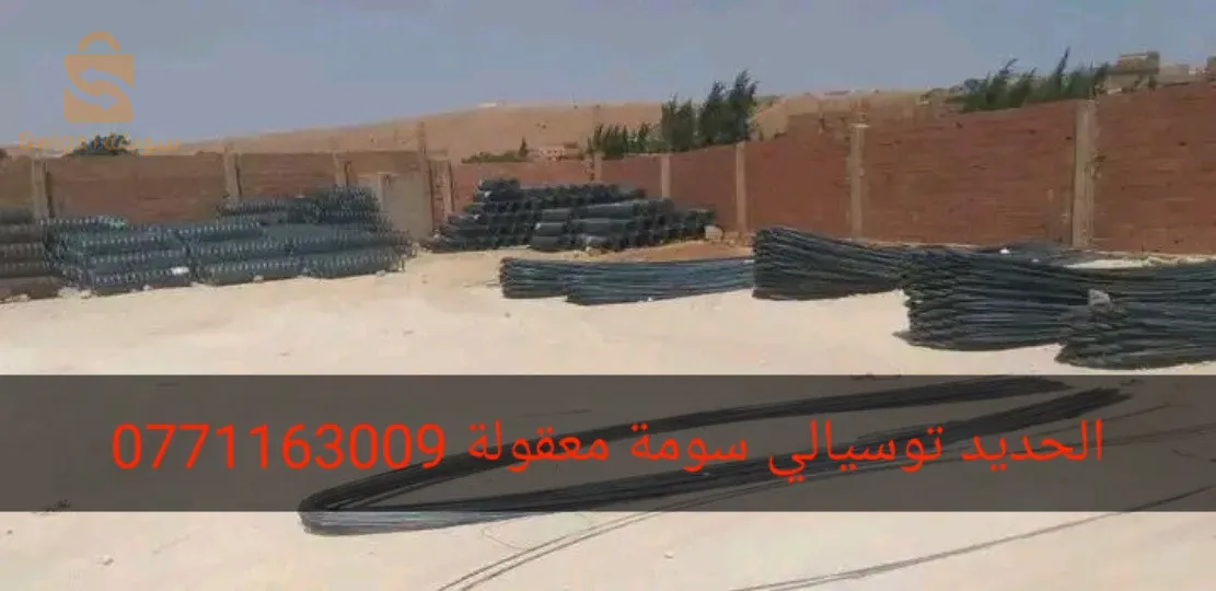 بيع الحديد نوعية شابة توسيالي