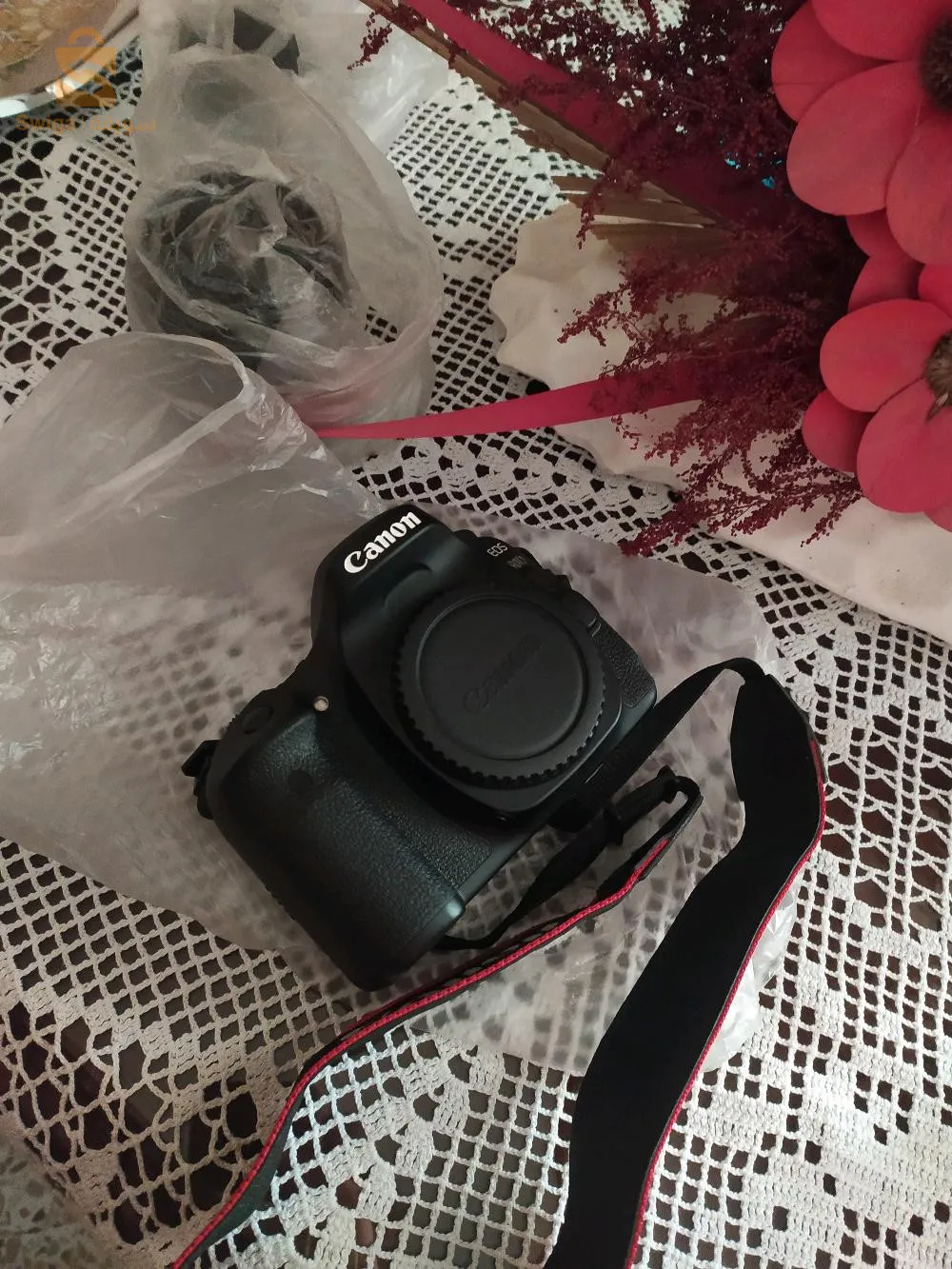 Canon 80D + Lens 18-55 & 50mm 1.4