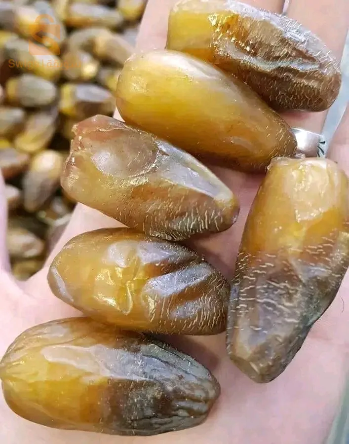 شركة التمور