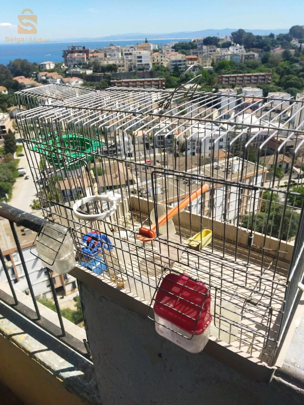 قفص واكسسوارات