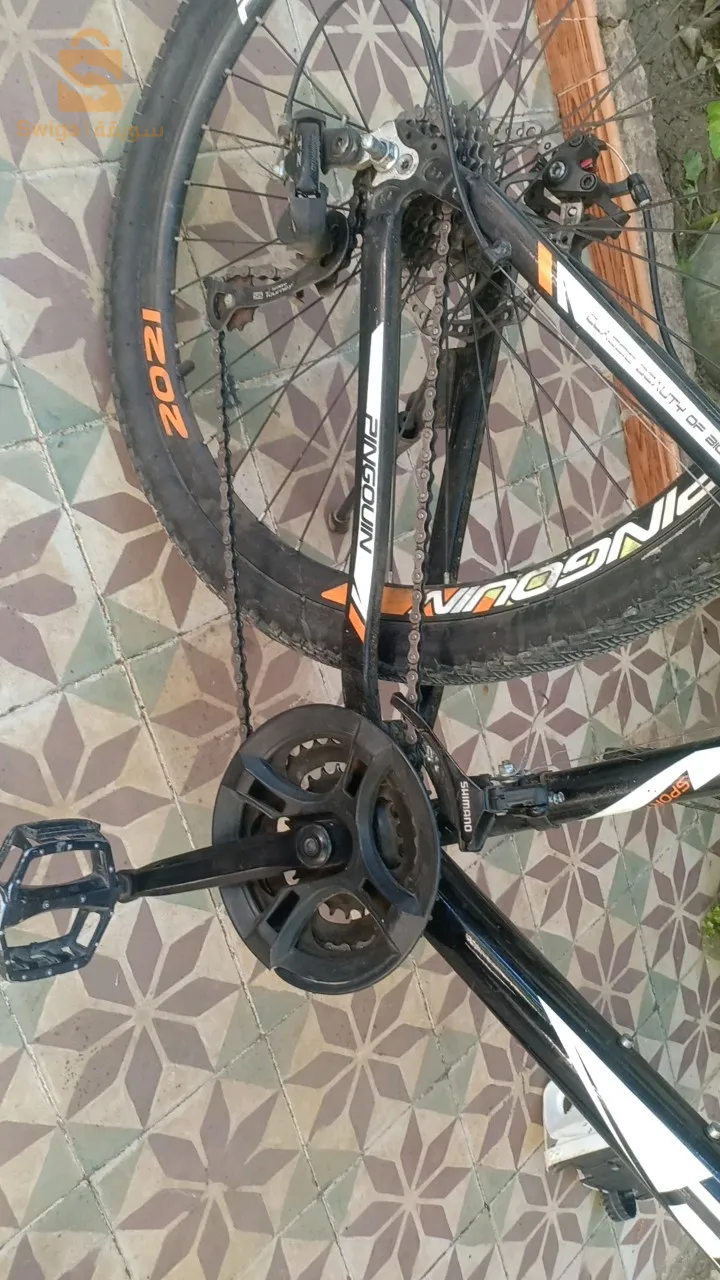 دراجة هوائية نوع "" PINGOUIN