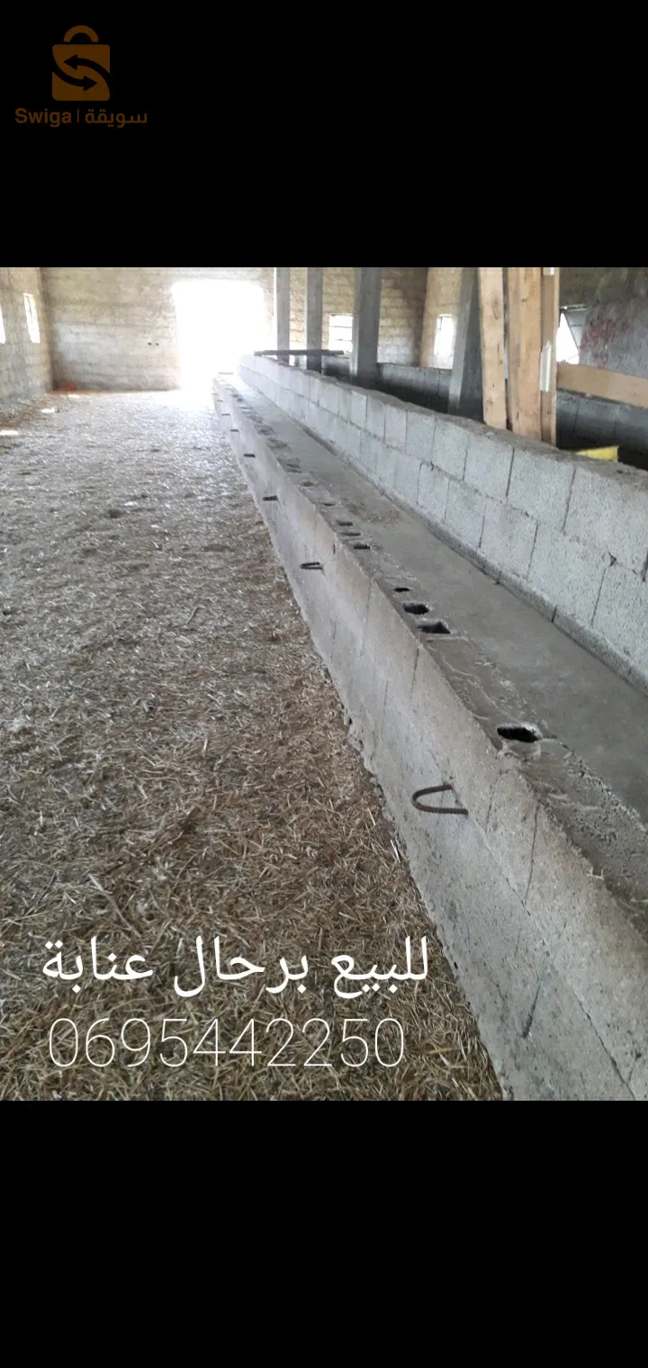 برحال