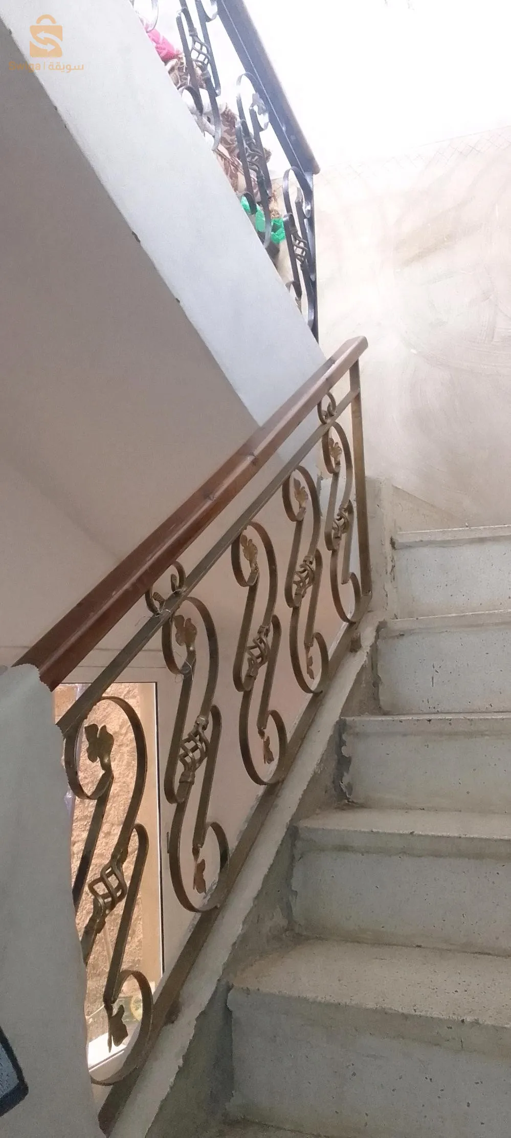 سانيا كارة 1