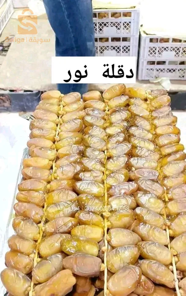 شركة التمور