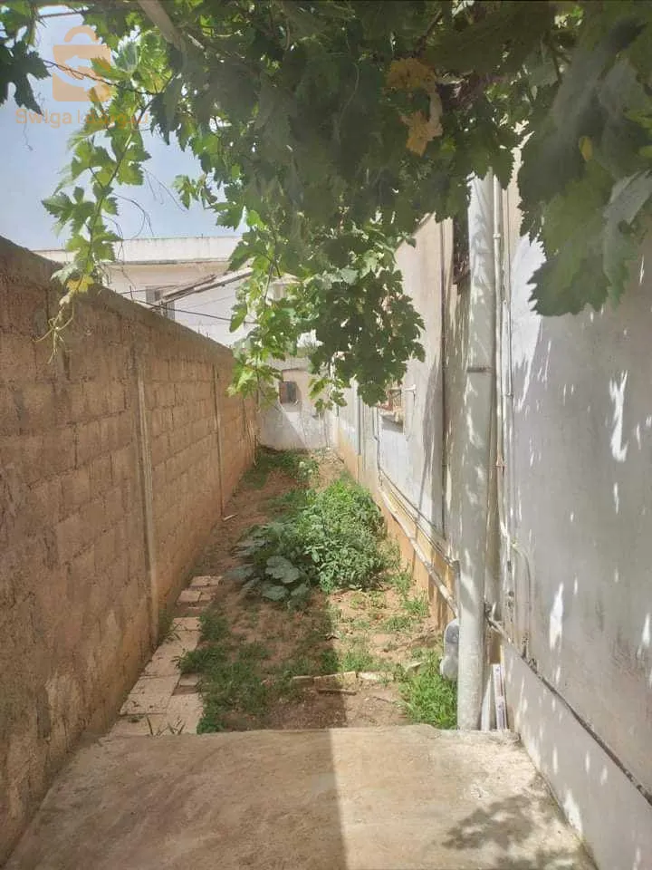 بلدية الشط دائرة بن مهيدي ولاية الطارف