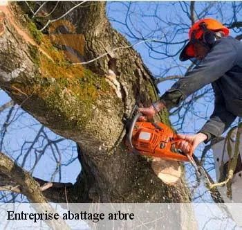 قطع الأشجار والأعشاب الضارة رقم الهاتف ☎️0550980933/0770826600 ☎️