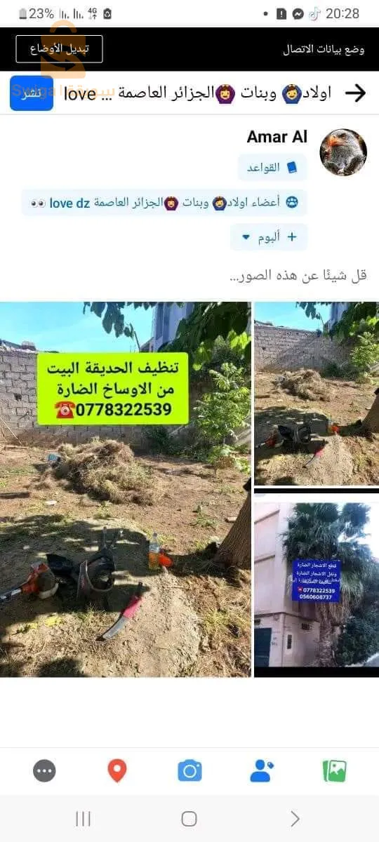 قطع الاشجار الضارة