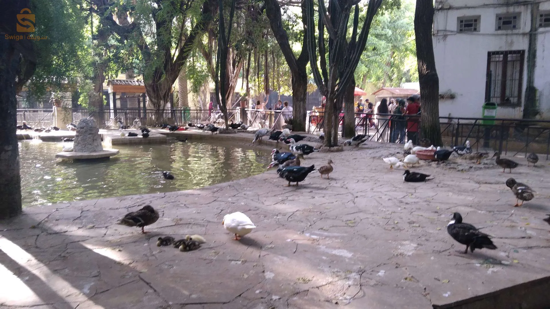 بيع منزل بطابقين