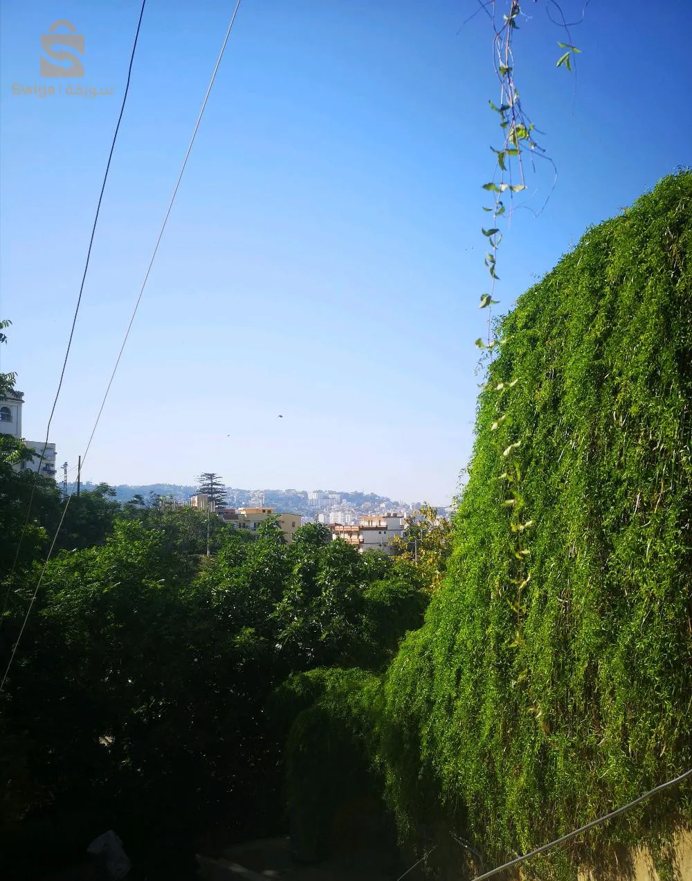 AFFAIRE À NE PAS RATER