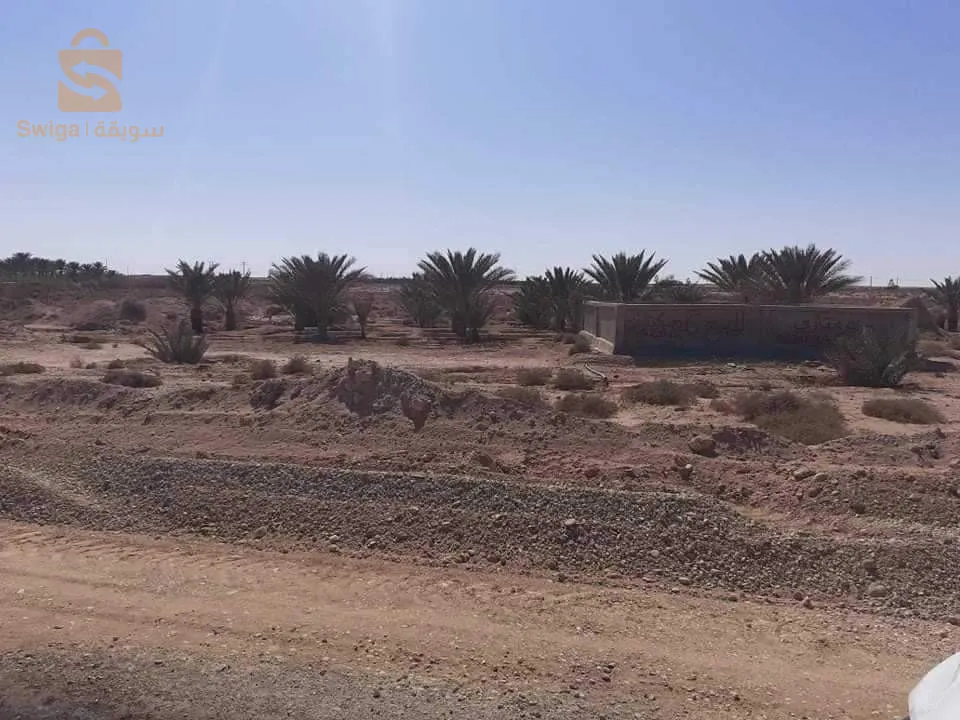 بسكرة