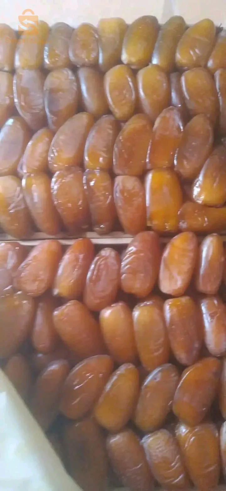 شركة التمور