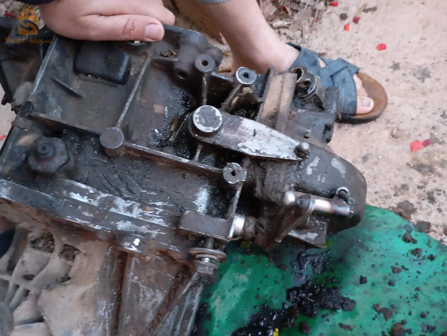 مزاورو بلدية السواحلية