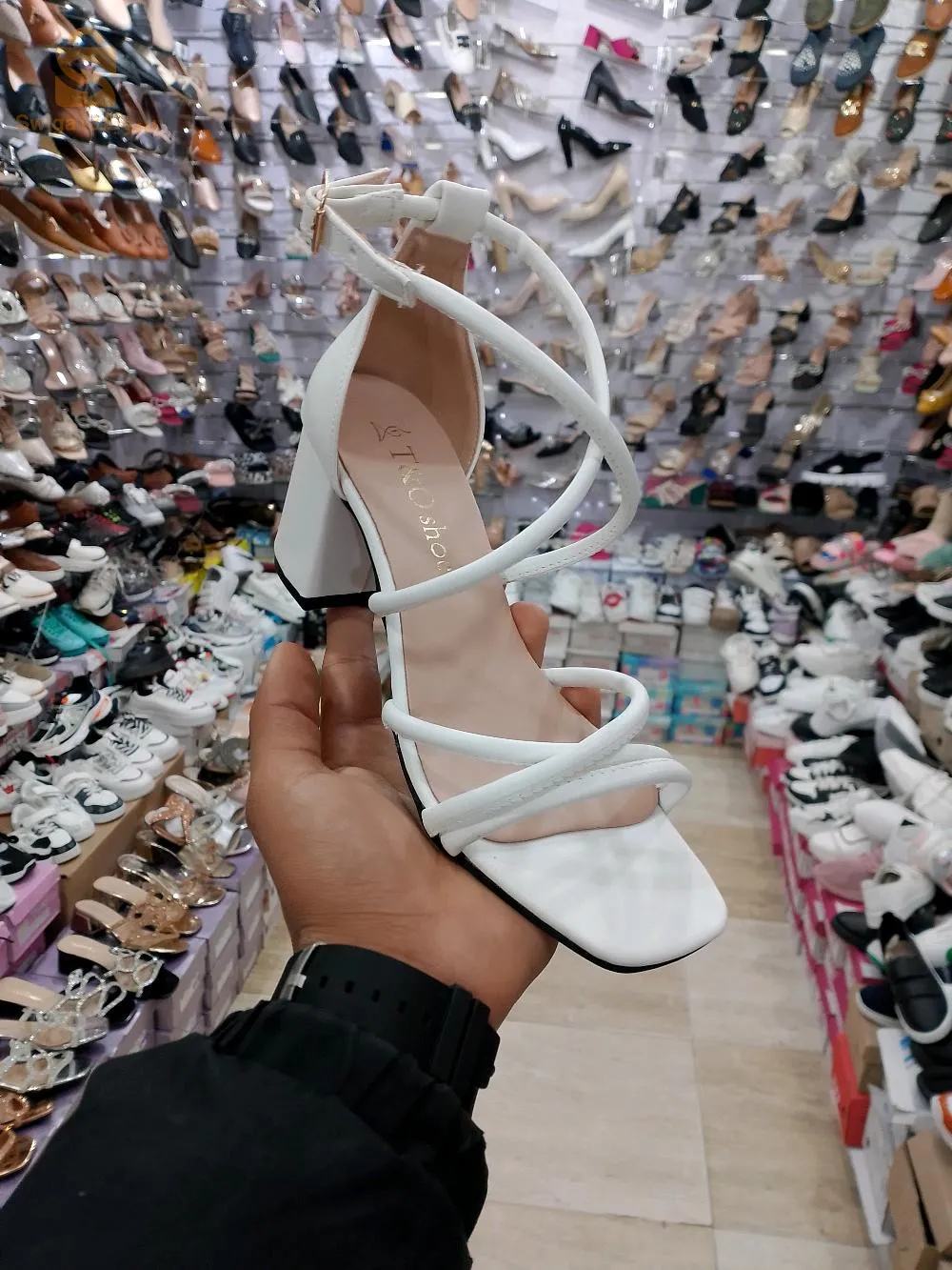 شلغوم العيد-التوصيل متوفر 58 ولاية