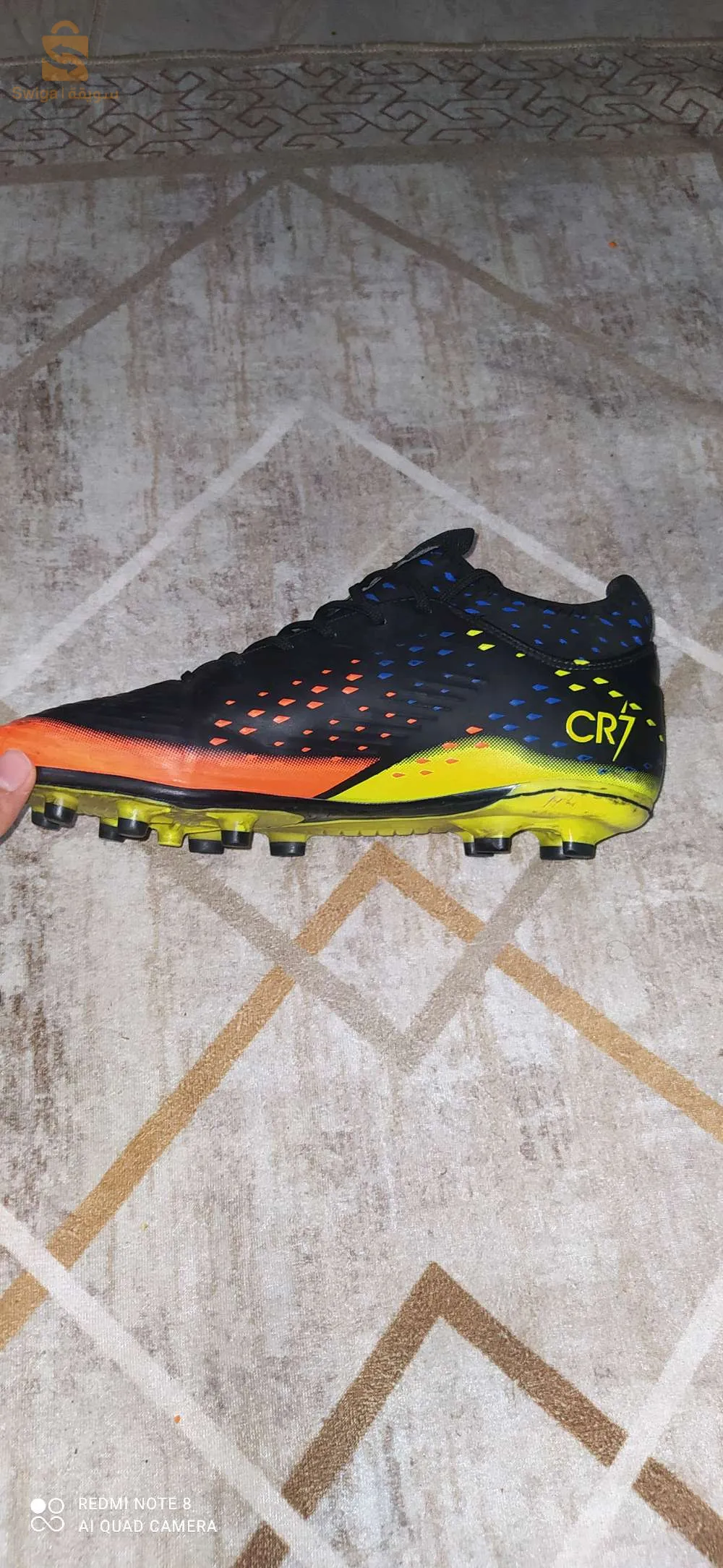 الجزائر ،رغاية