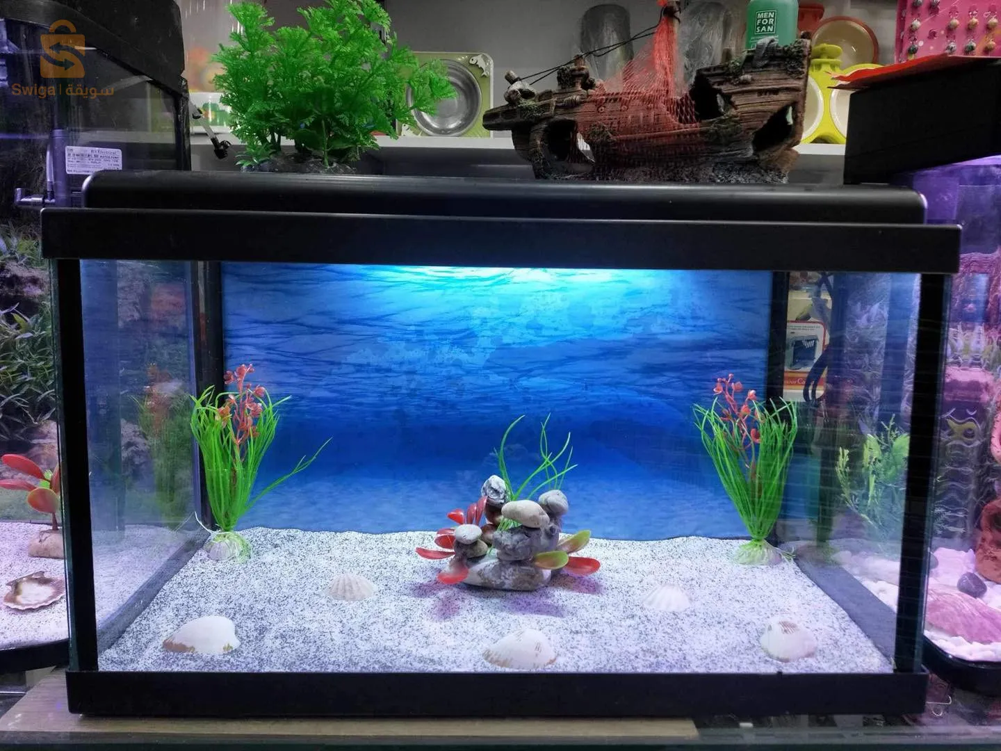 احواض مزروعة و اسماك بكل انواعها