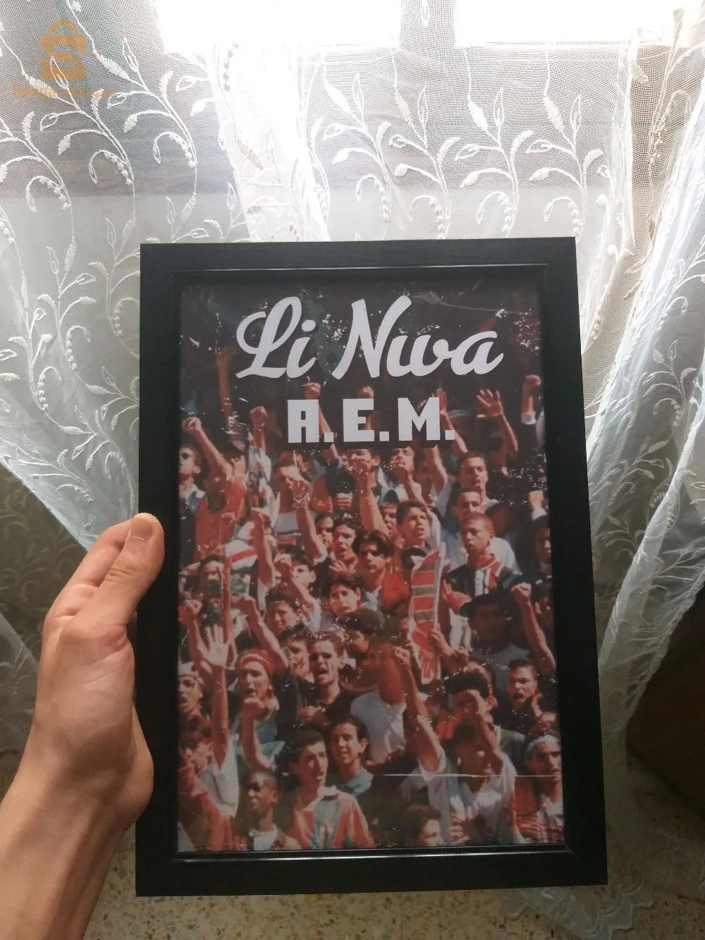 Un cadre particulier pour les équipes algériennes