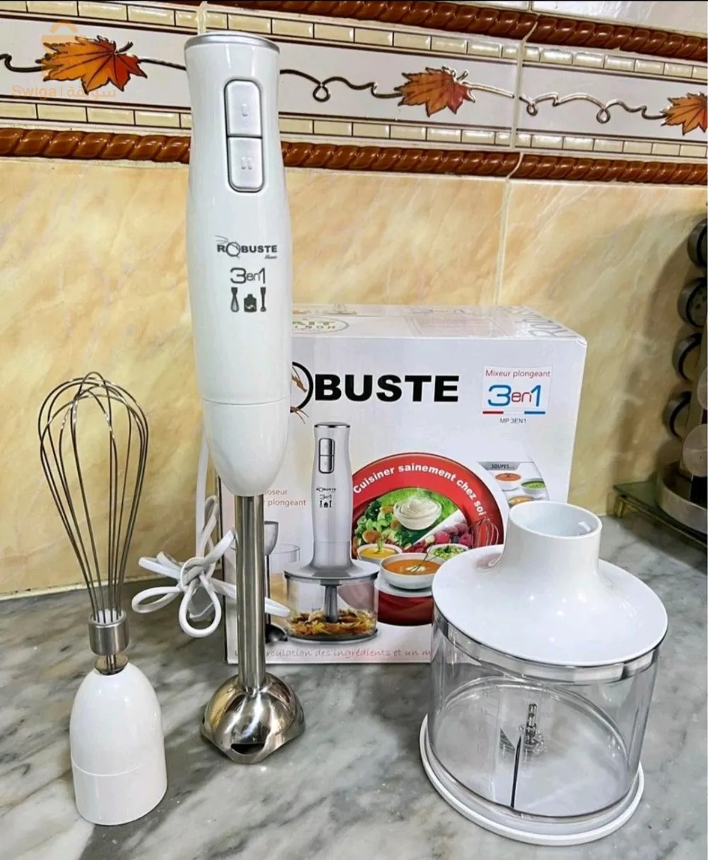 ROBUSTE Mixeur 3en1