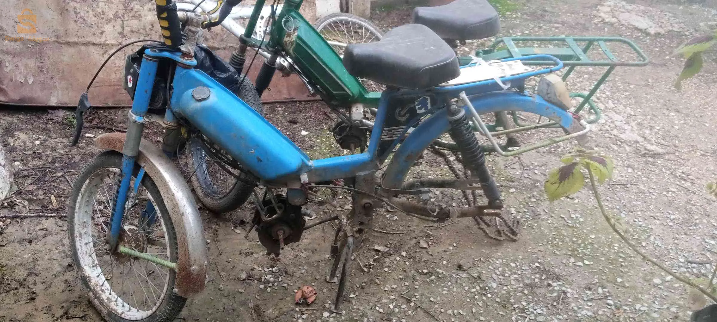 بومرظاس