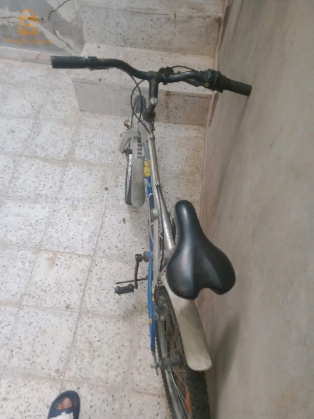 0772040600