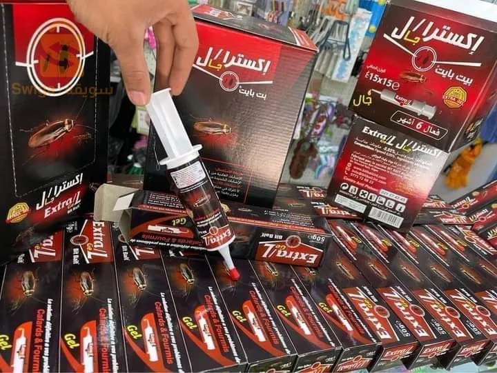 قسنطينة
