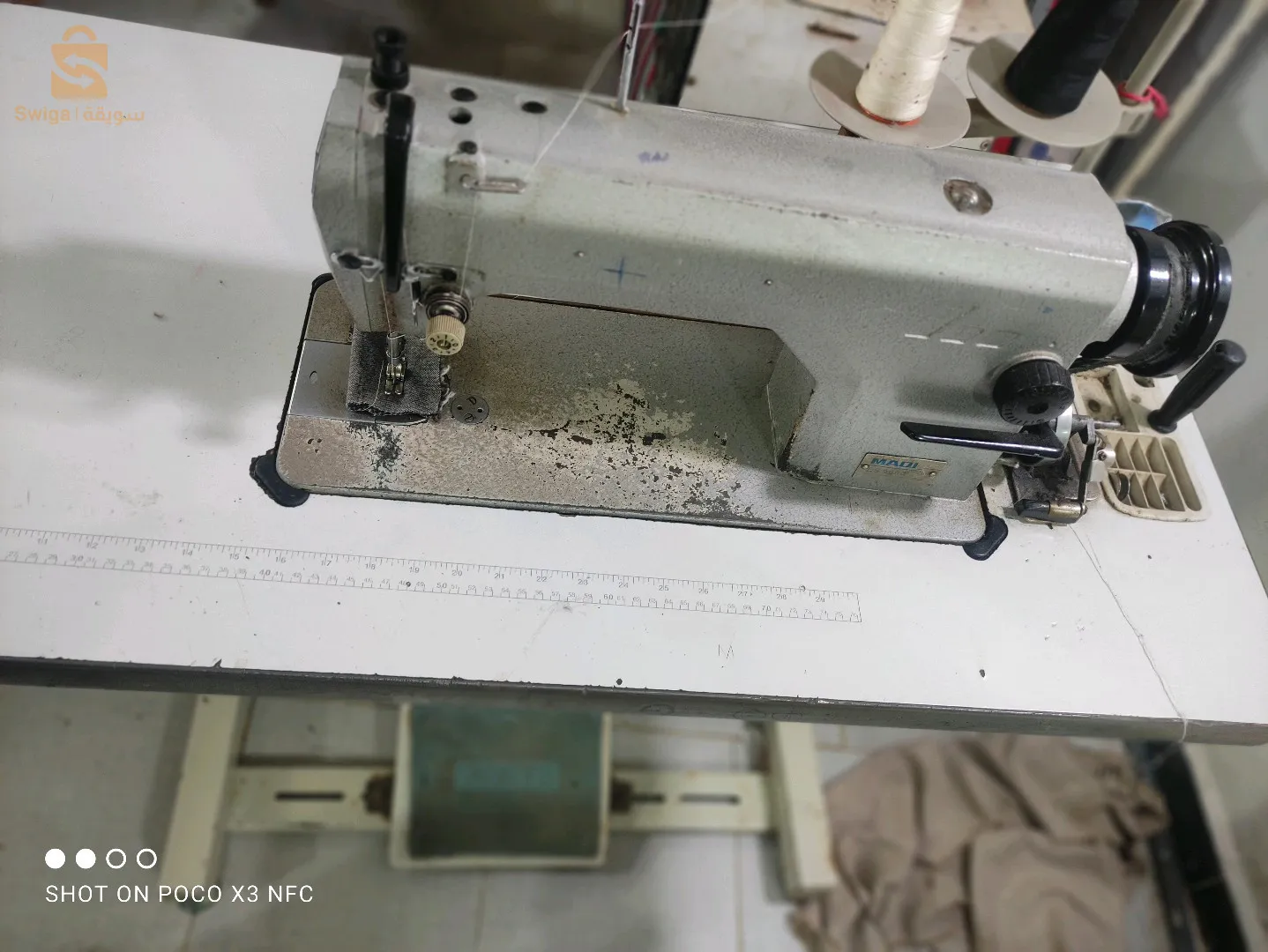 وهران    كوكا