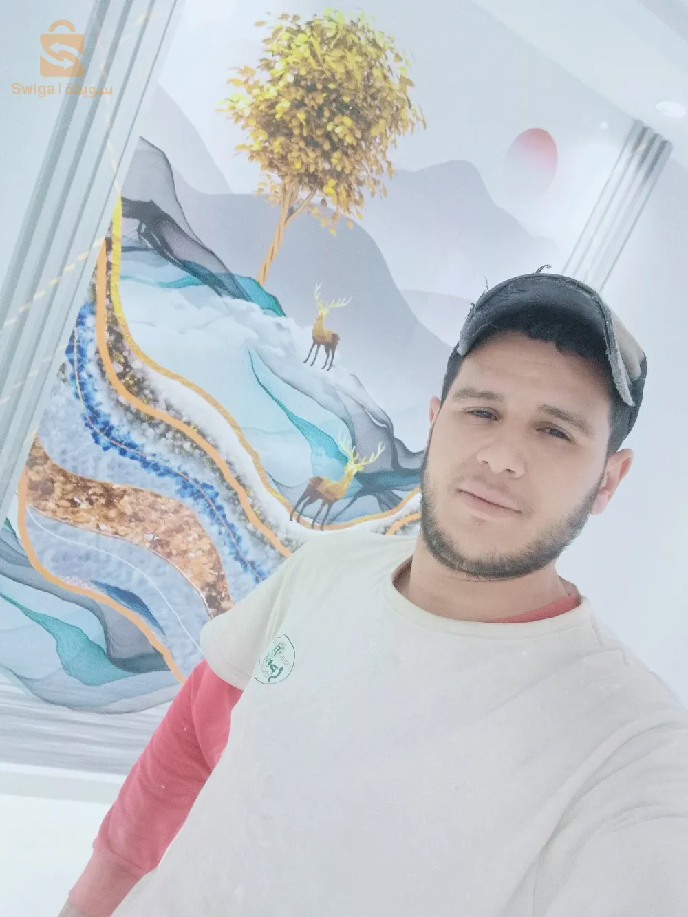 ديكورات داخلية