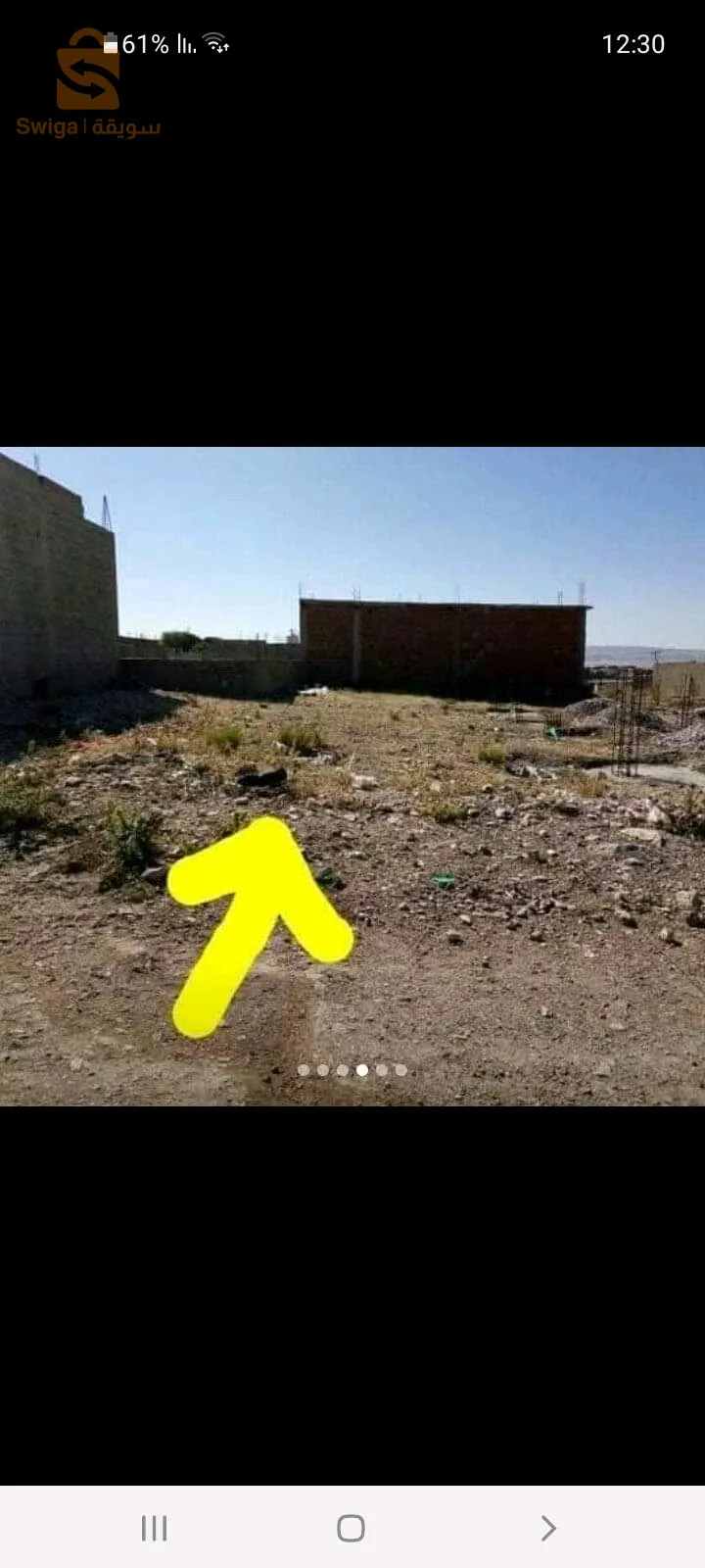ارض
