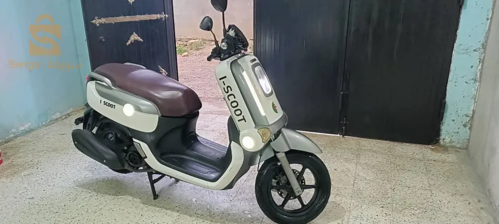 المدية