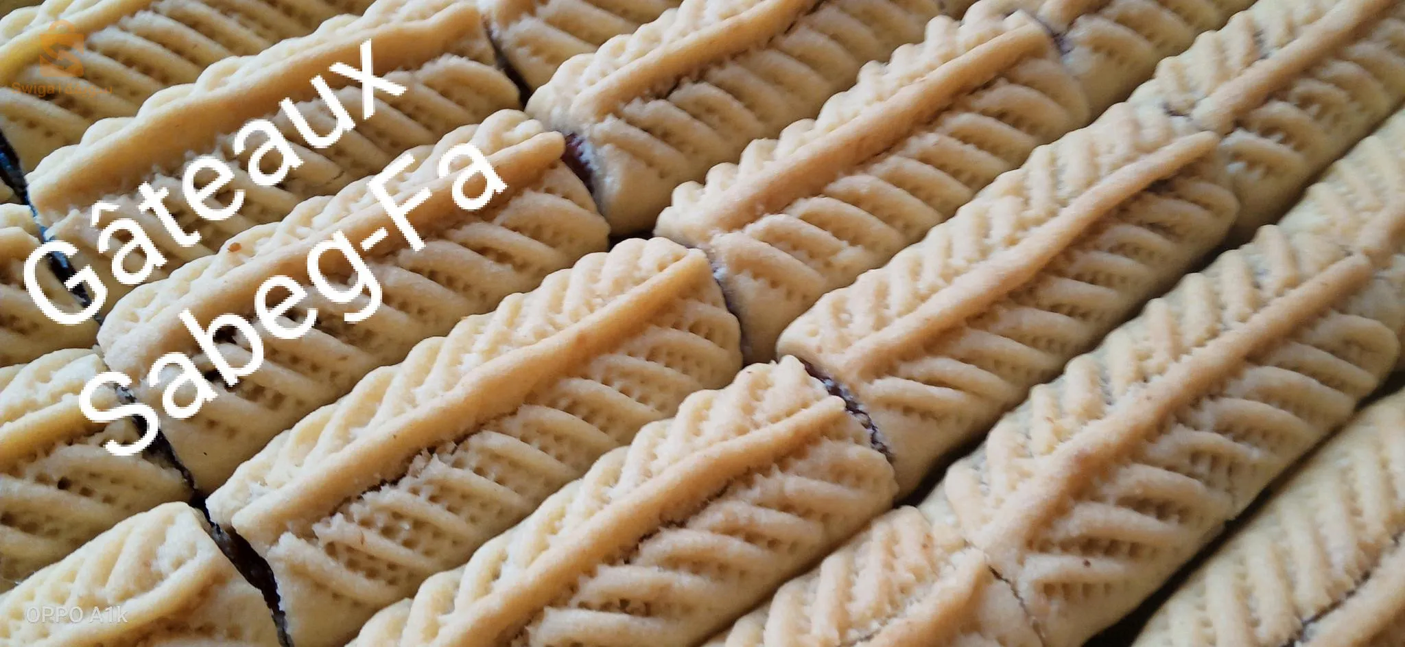 عين البيضاء ام البواقي