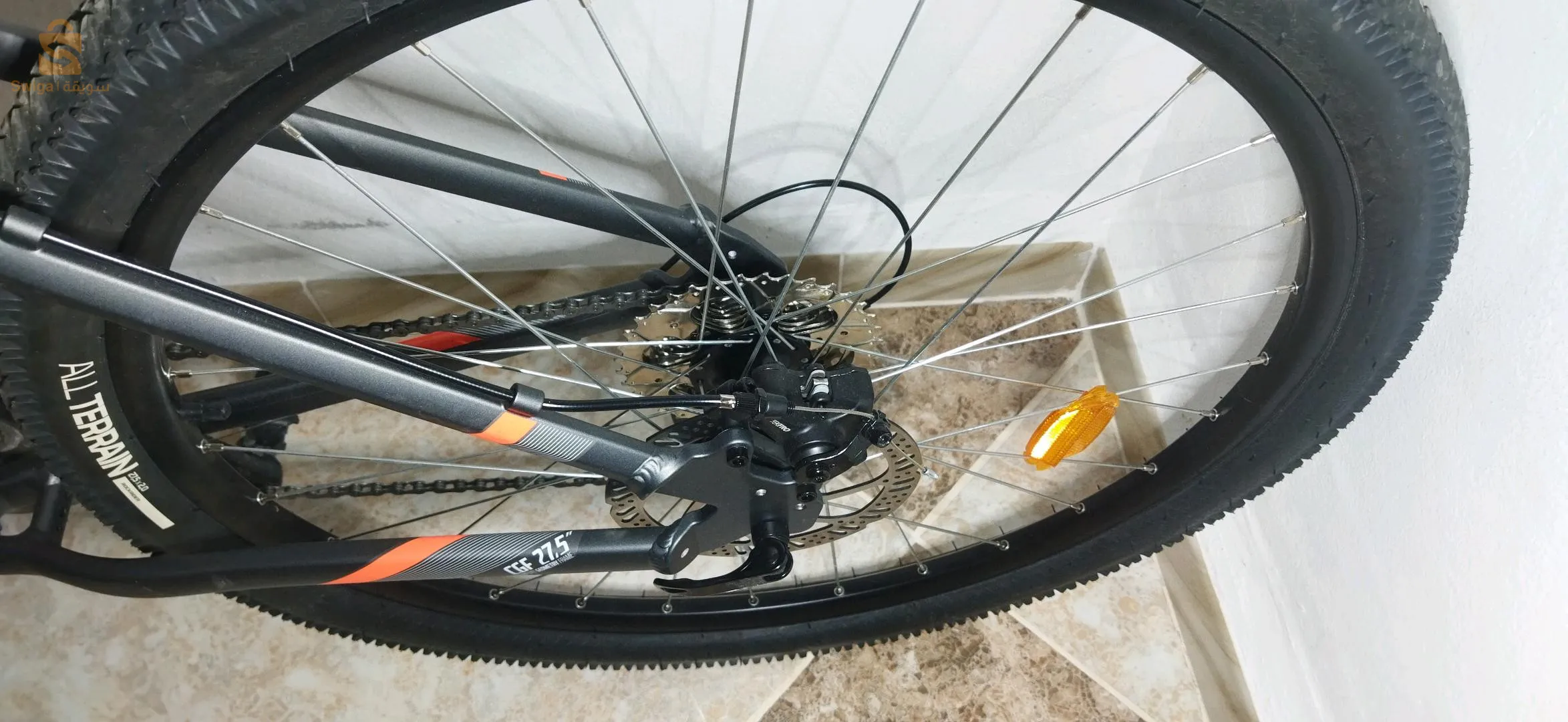 wilaya d'Ain temouchent béni saf