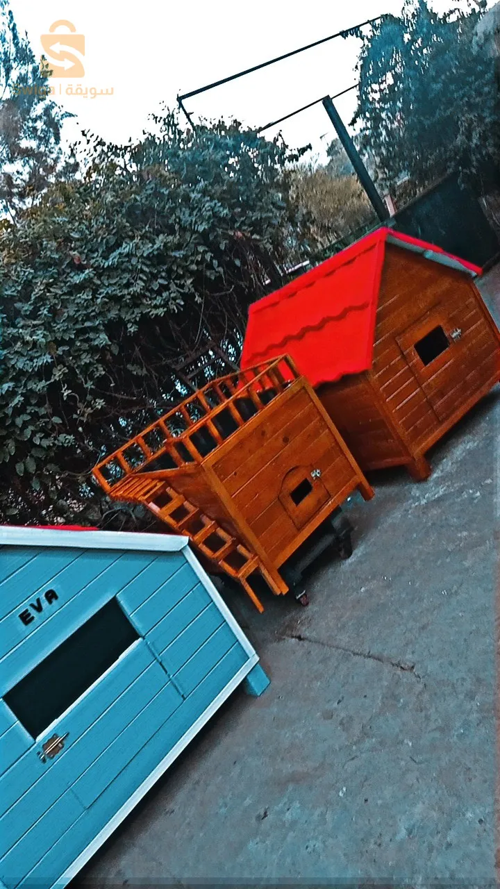 منازل الكلاب