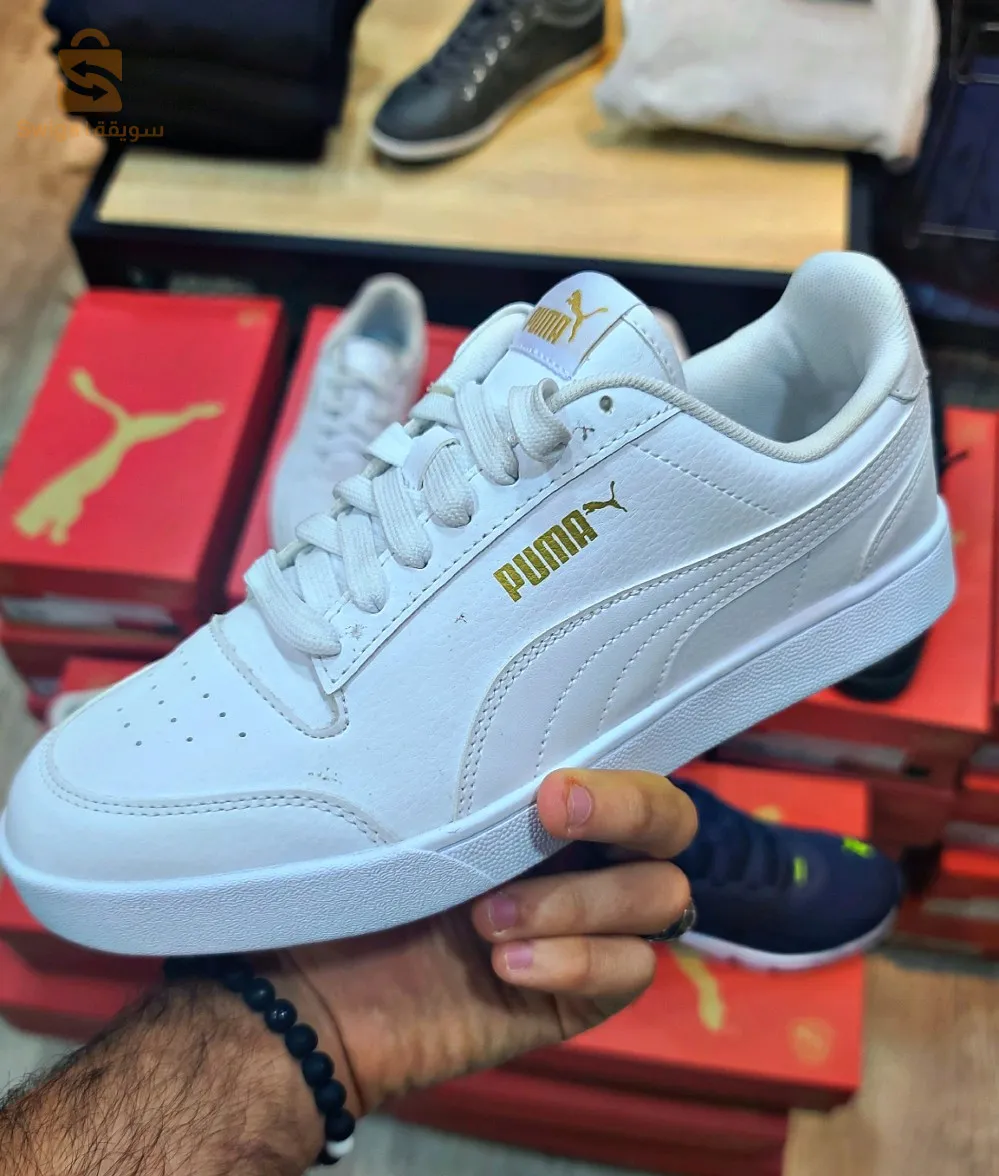 Basket puma
