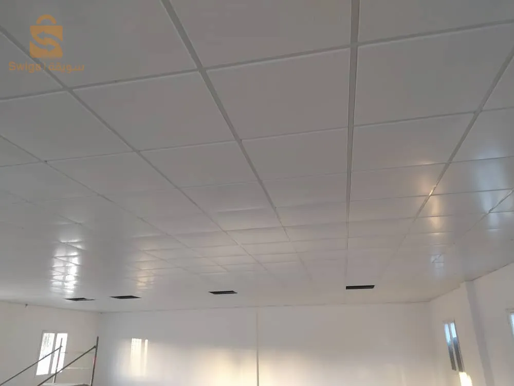 Faux plafond  60*60
