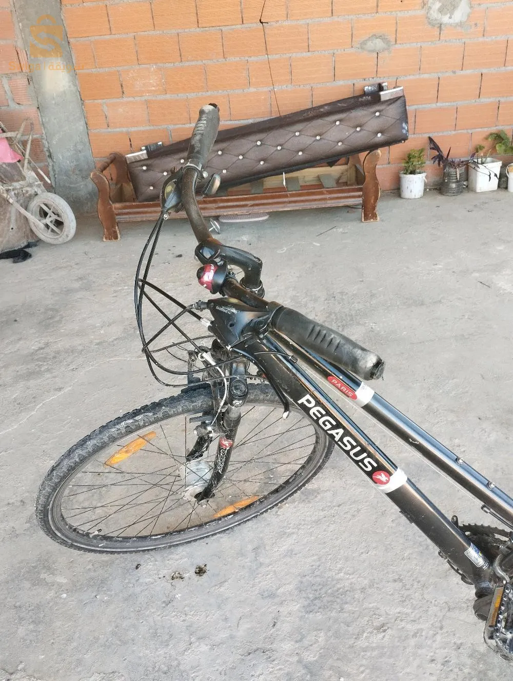 +213665387277