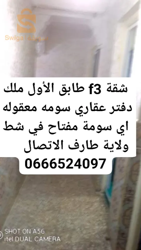 شقة f3 طابق الأول ملك دفتر عقاري شط ولاية طارف
