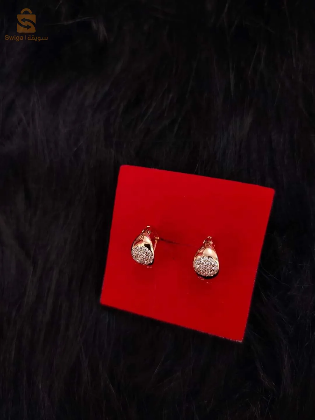 اولاد فارس فوق مسجد النور