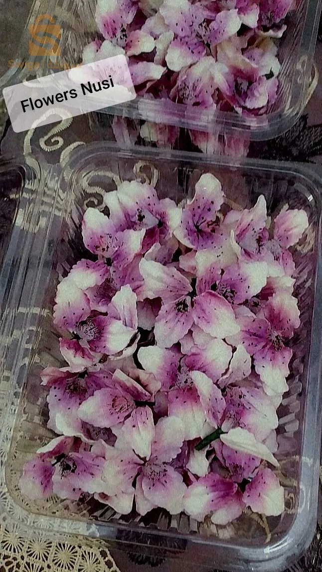 البليدة