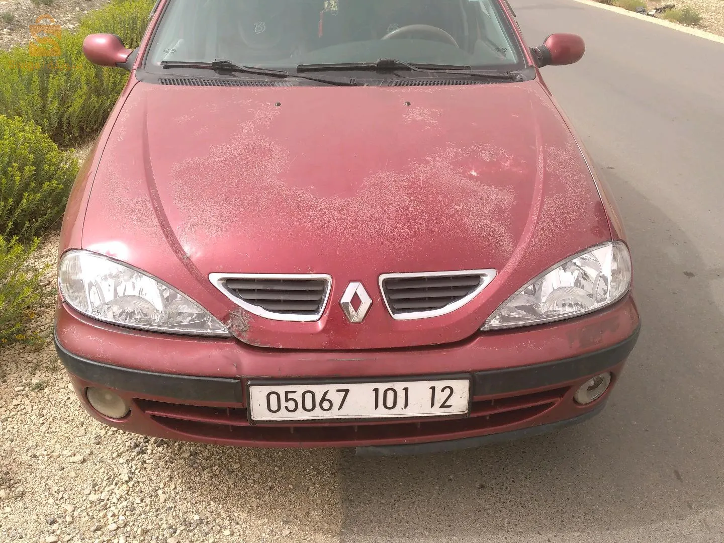 العقلة قساس تبسة