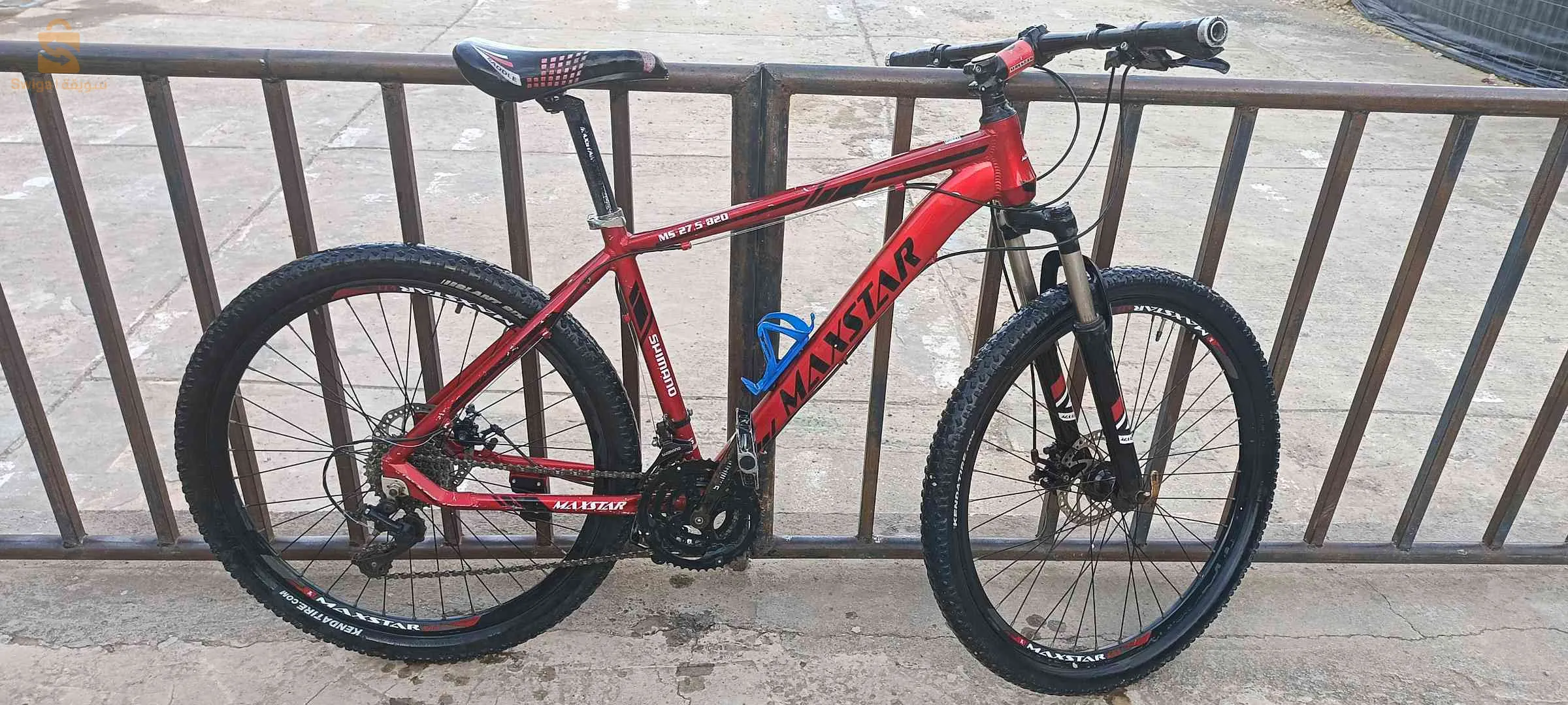 فيلو  ms-27.5 Maxstar