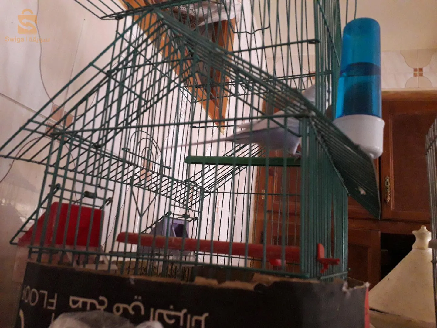 مال البادجي واجد