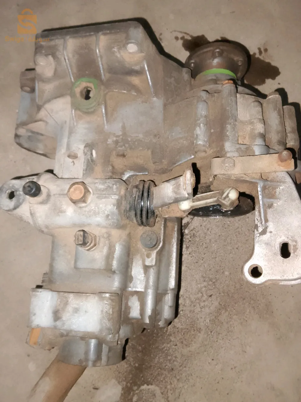 حسيان الطوال فلوريس